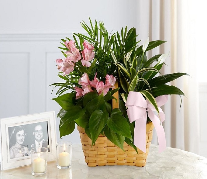Add Loose Fresh flowers in water tubes to plants- Designer Choice fitting occasion